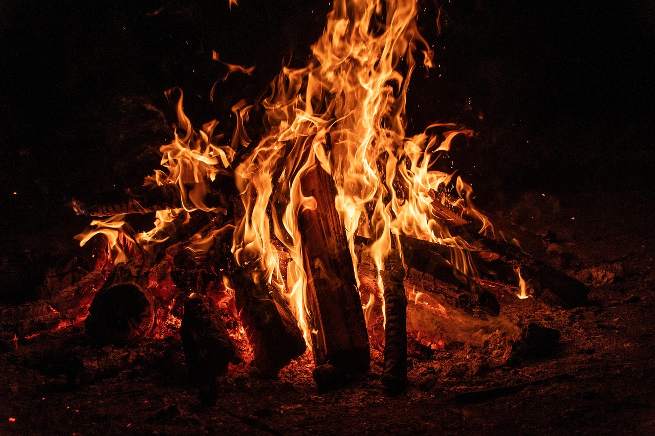 Campfire Nights